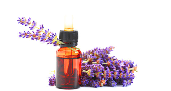 Lavender Oil