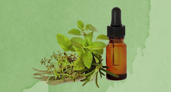 MARJORAM OIL