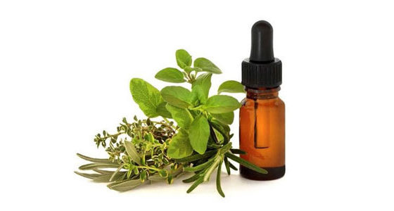 Marjoram Oil