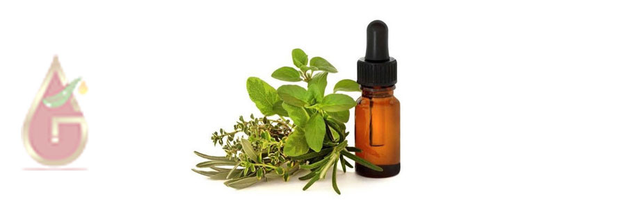 Marjoram Oil