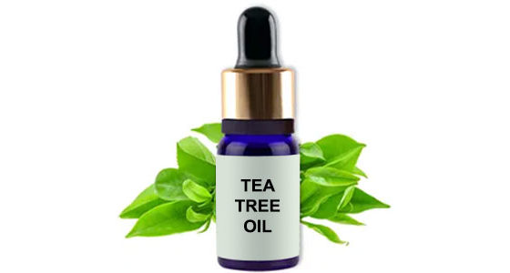 Tea Tree Oil