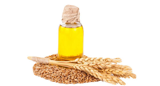 Wheat Germ Oil