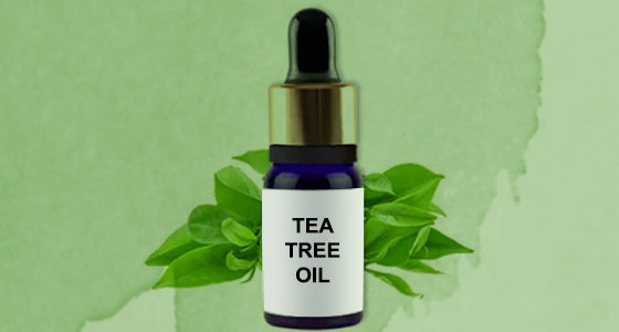 TEA TREE OIL