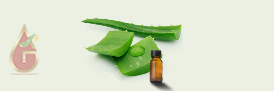 Aloe Vera Extract