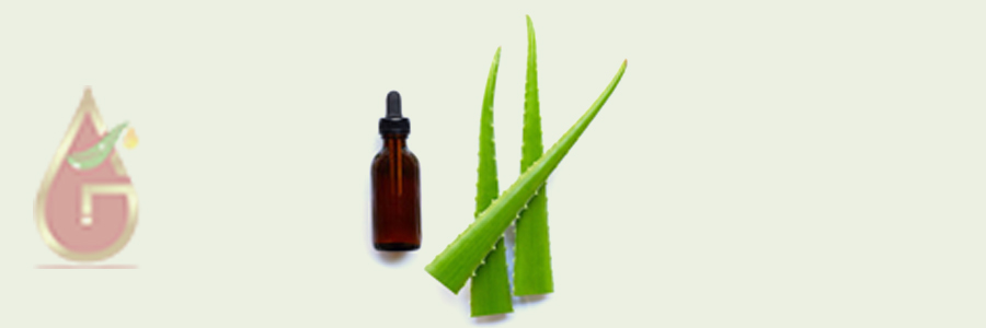 Aloe Vera Oil