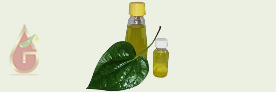 Betel Leaf Oil