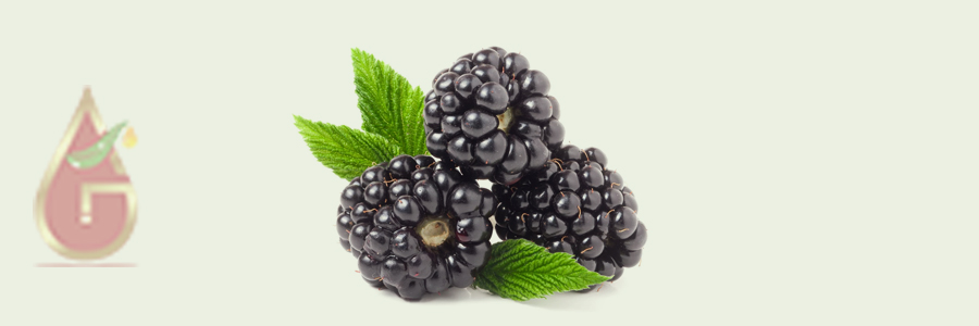 Blackberry Oil