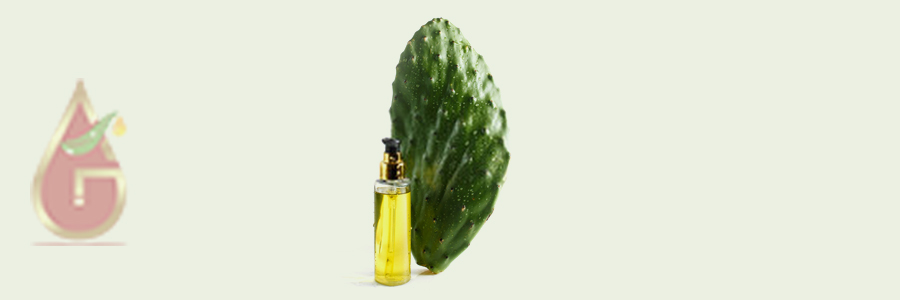 Cactus Seed Oil