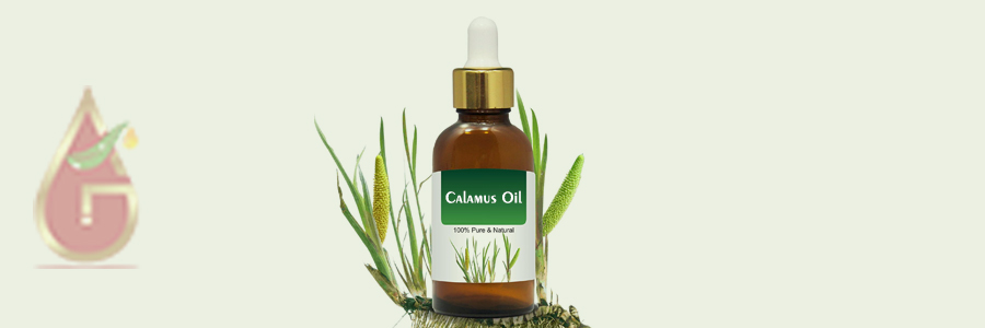 Calamus Oil