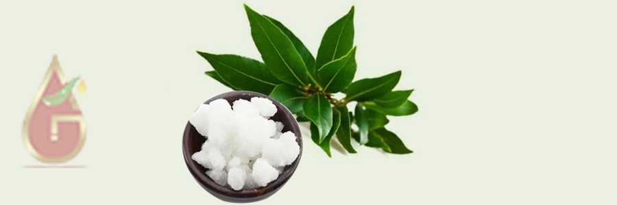 Camphor Powder