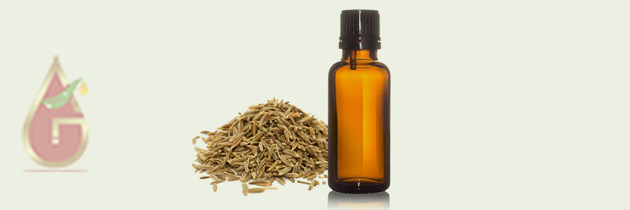 Caraway Oil