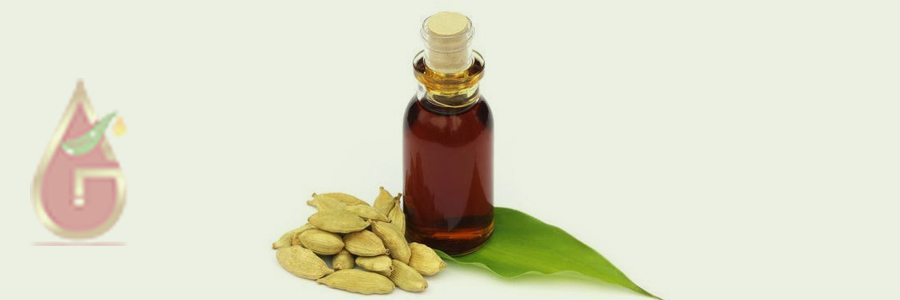 Cardamom Oil