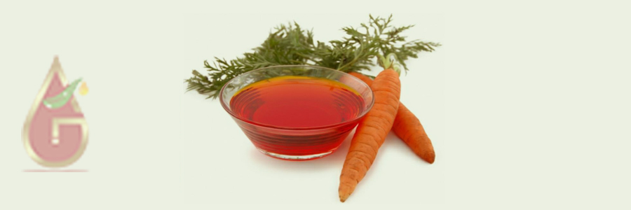 Carrot Seed Oil