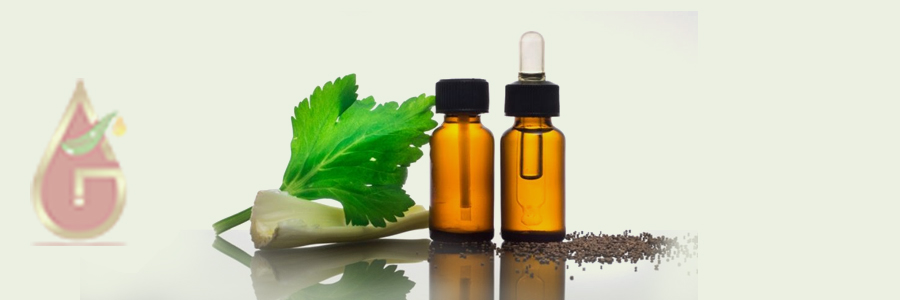 Celery Seed Oil