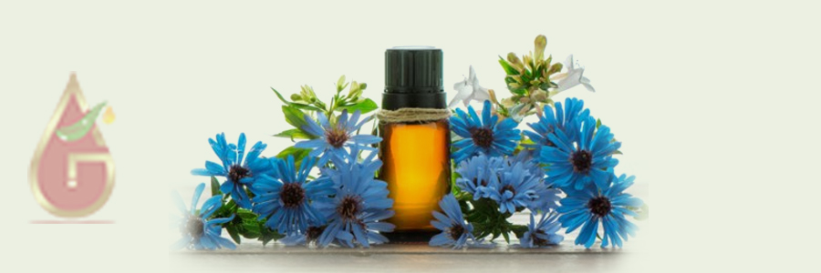 Chamomile Blue Oil