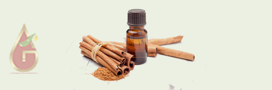 Cinnamon Bark oil