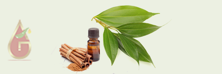 Cinnamon Leaf Oil