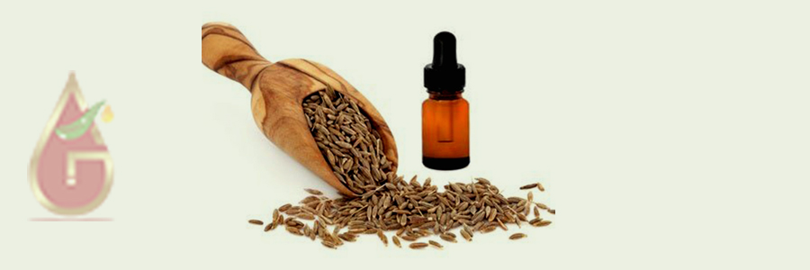 Cumin Oil