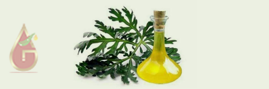 Davana Oil