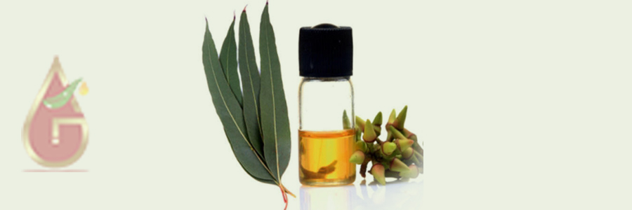 Eucalyptus Oil