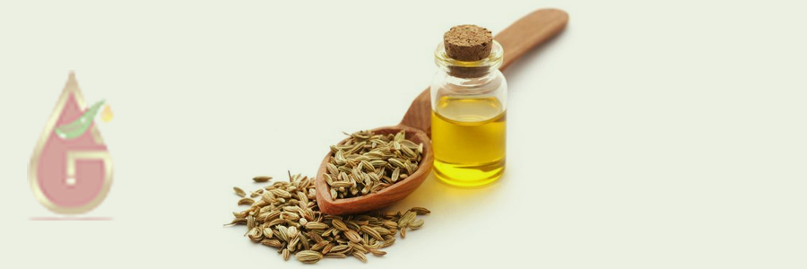 Fennel Oil