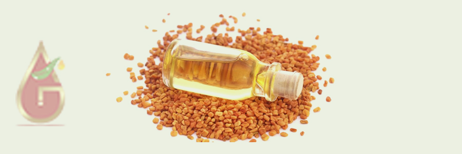 Fenugreek Oil