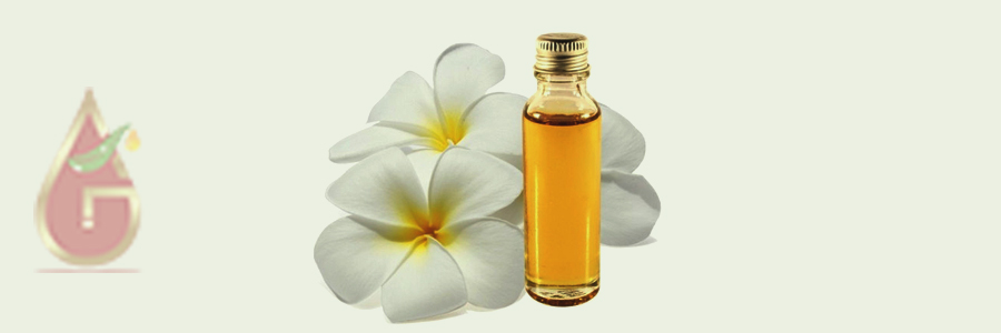 Frangipani Oil