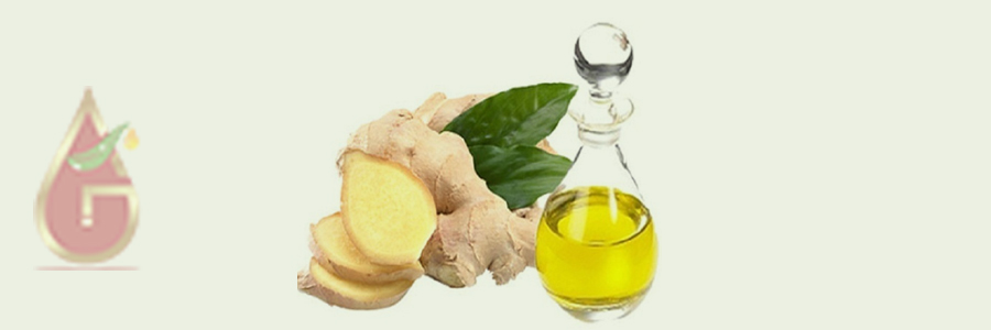 Ginger Oil