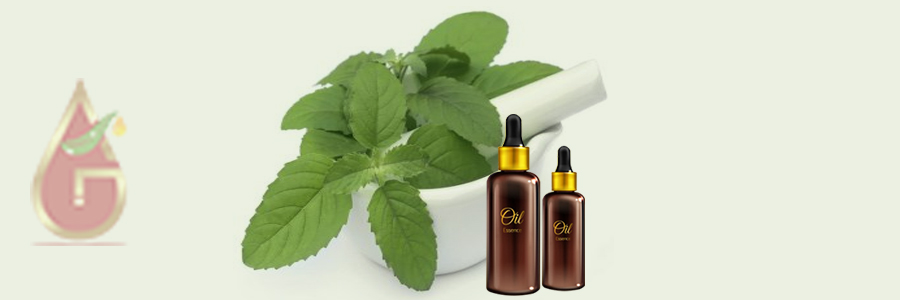 Holy Basil Oil