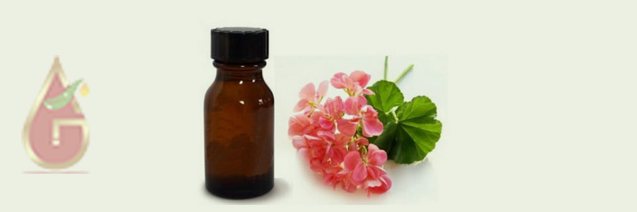 Hydrosol Geranium Oil