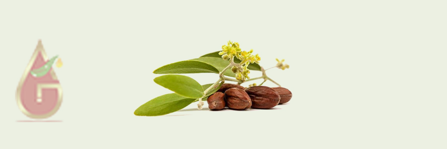 Jojoba Oil Golden