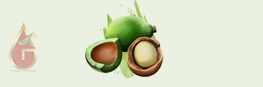 Kukui Nut Oil