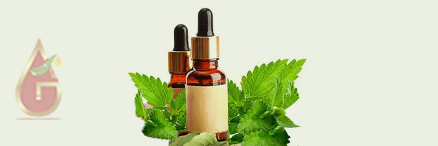 Lemon Balm Oil