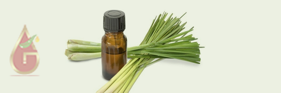 Lemongrass Oil