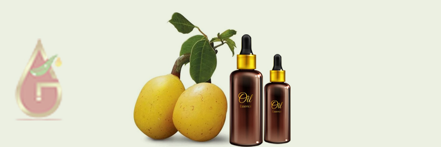 Marula Oil