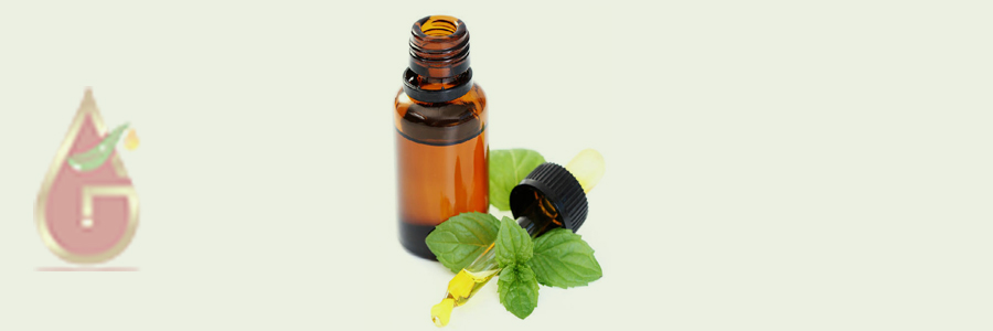 Mentha Citrata Oil