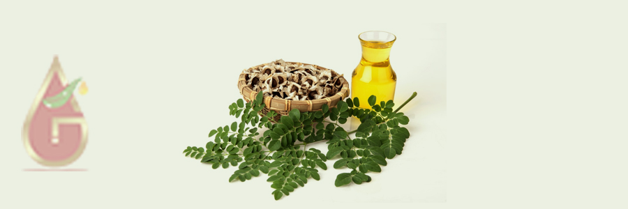 Moringa Seed Oil