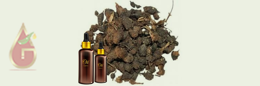 Nagarmotha Oil