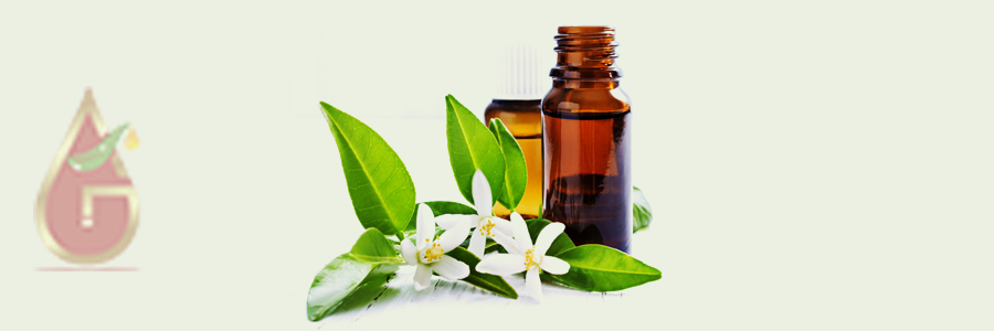 Neroli Oil