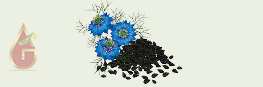 Nigella Sativa