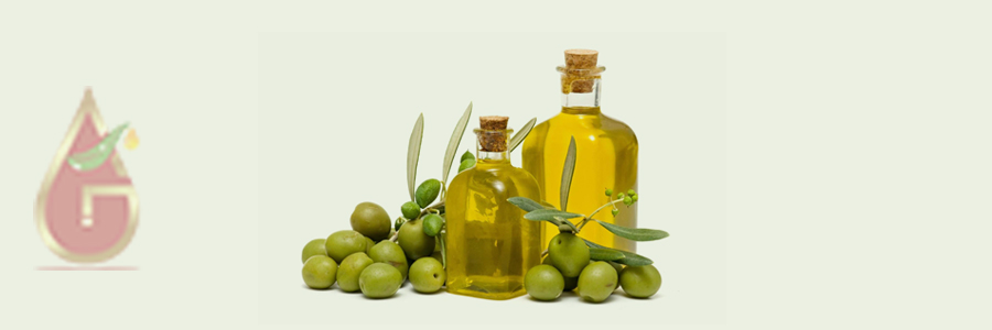 Olive Oil