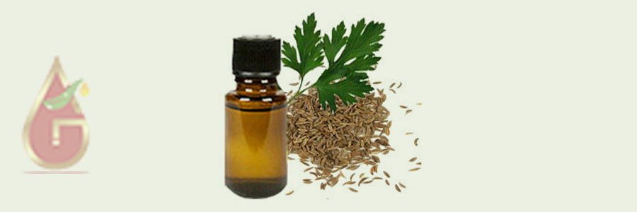 Parsley Seed Oil