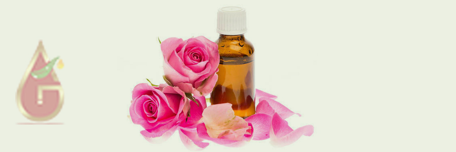 Rose Absolute Oil