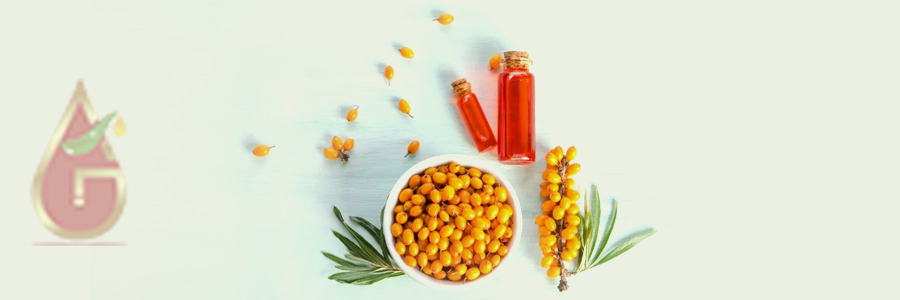 Sea Buckthorn Oil