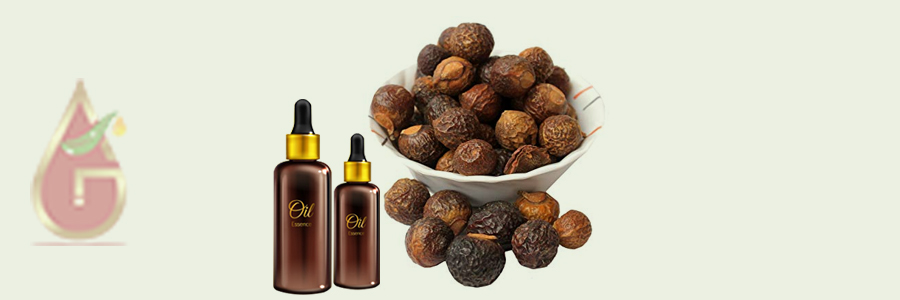 Soap Nut Oil