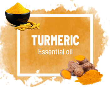 Turmeric Oil