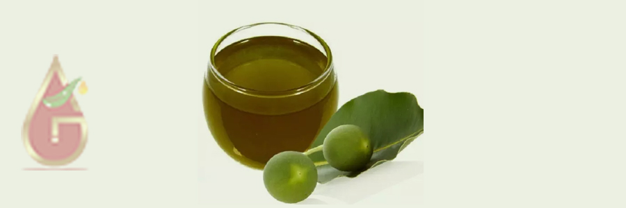 Tamanu Oil