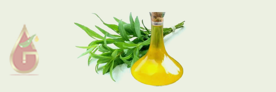 Tarragon Oil