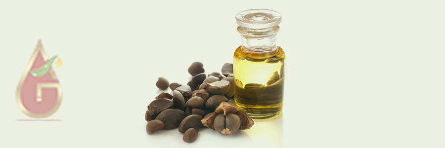 Tea Seed Oil