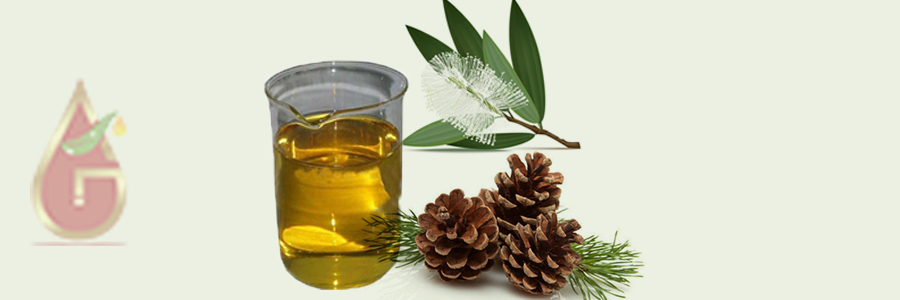 Turpentine Oil - Pureoilsindia